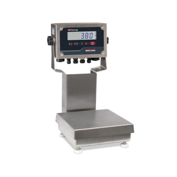 Rice Lake Ready- N- Weigh Bench Scale System CW-90B Scale Base 380 Indicator