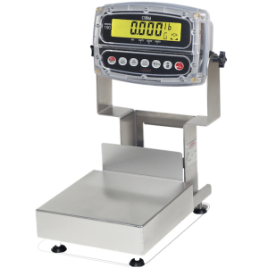 Bench Scales